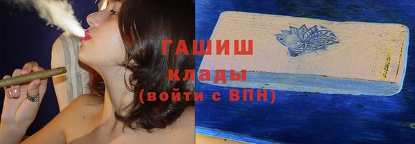 стаф Алзамай