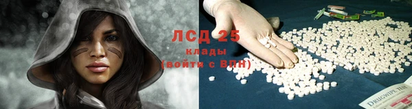 гидра Алексеевка
