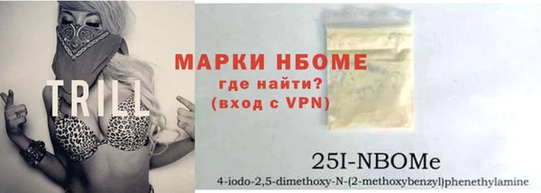 стаф Алзамай