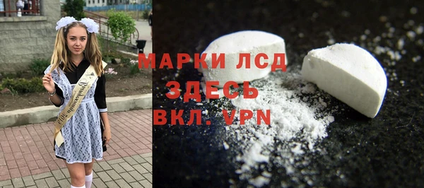 стаф Алзамай