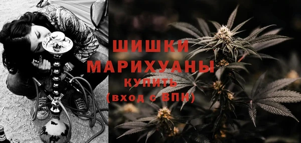 гидра Алексеевка