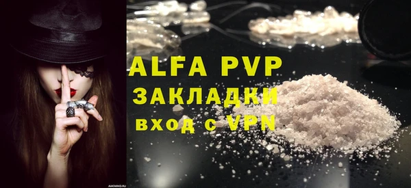 стаф Алзамай